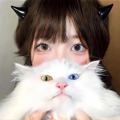 蓝百合 封面